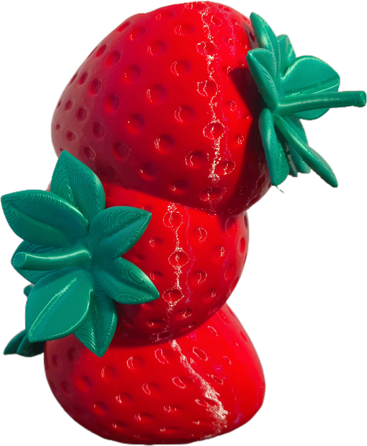 Vaso Decorativo Morango – Decoração Moderna com Flores Secas | Kreate3D