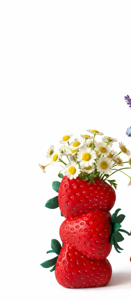 Vaso Decorativo Morango – Decoração Moderna com Flores Secas | Kreate3D