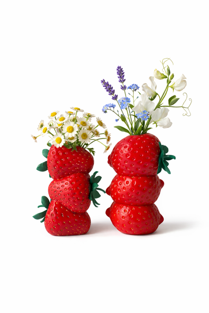 Vaso Decorativo Morango – Decoração Moderna com Flores Secas | Kreate3D